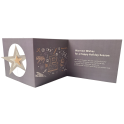 Spinner Z-Fold Holiday Cards